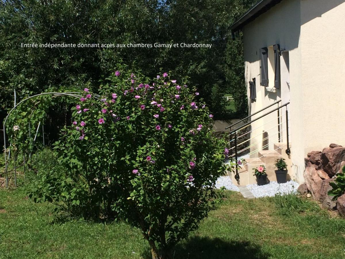 Le Grain De Louise Bed & Breakfast Lancié Exterior foto